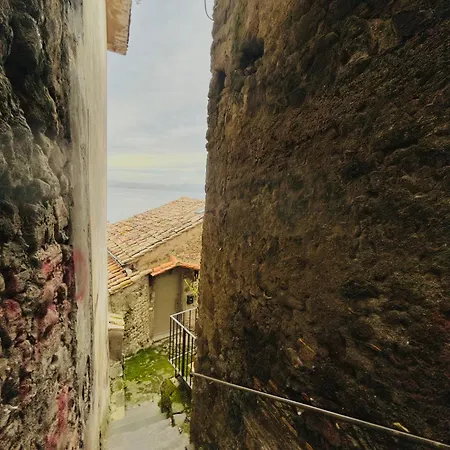 بيت للعطل Dreams